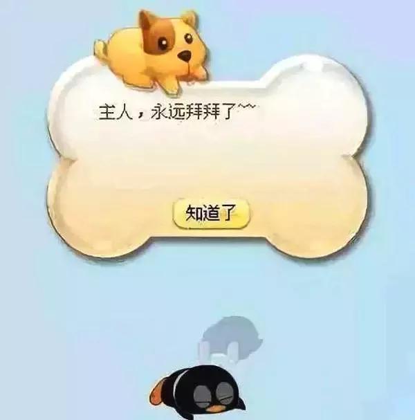 qq注销功能是多久出来的,qq将关闭停止哪些功能