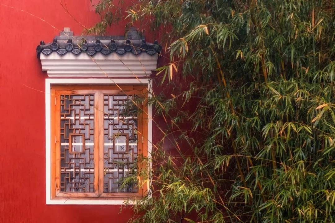 245个夸人的成语，背完之后我夸人就没重过样