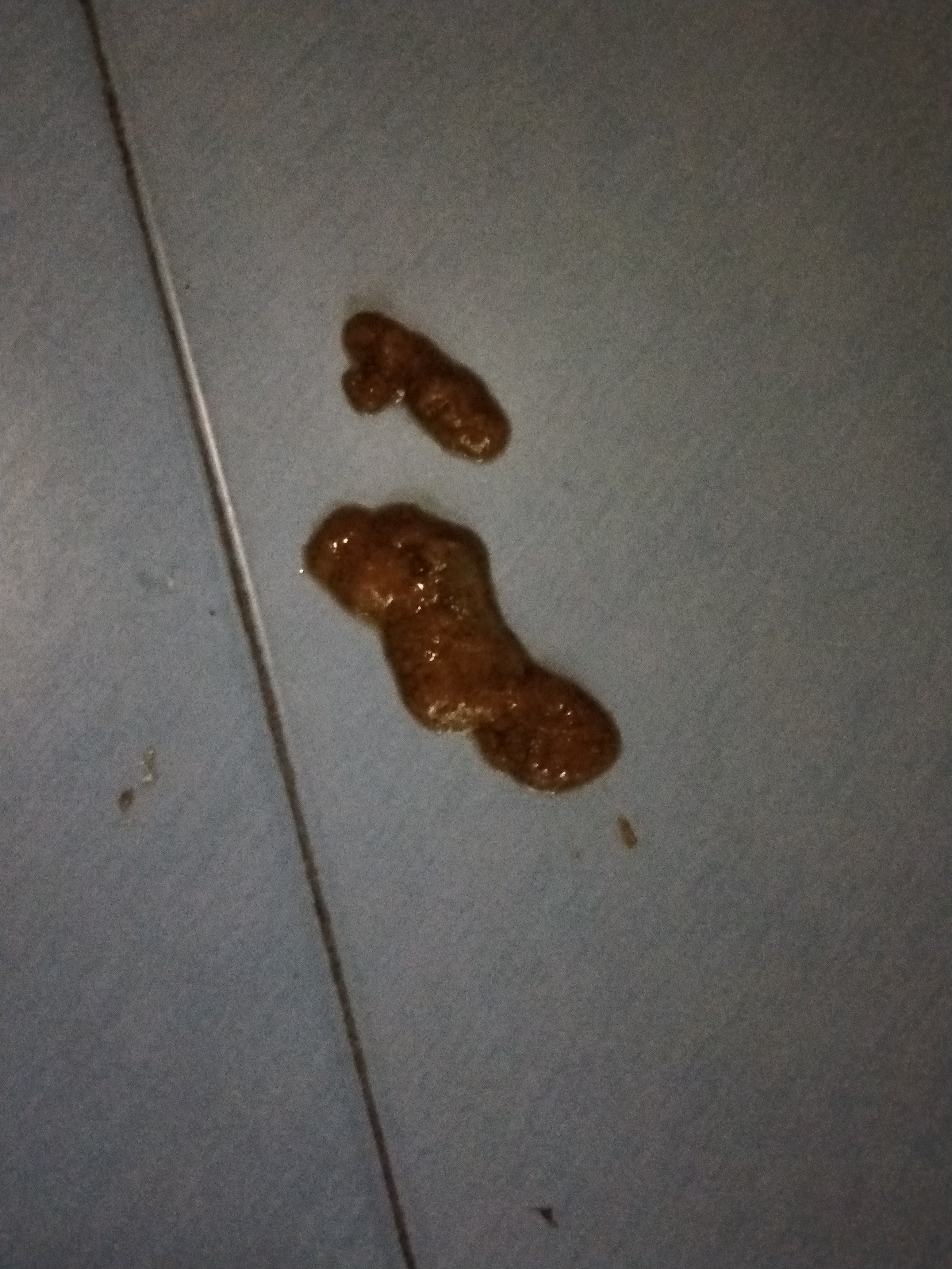 猫咪头疼给它按哪里最舒服,头疼猫咪