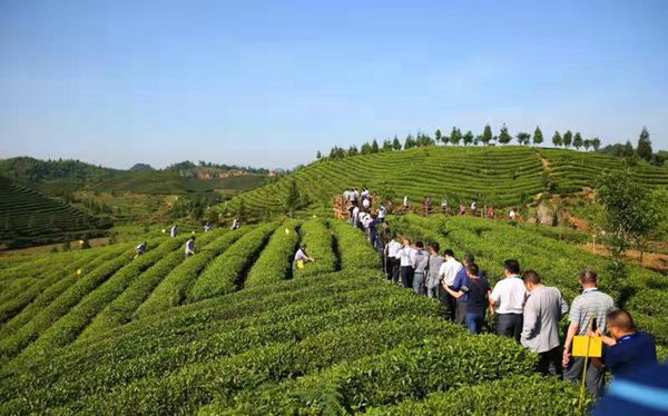 多彩贵州旅游品牌,多彩贵州酒名片