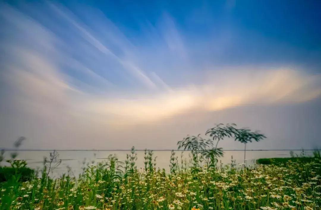 中国最富有的县有哪几个,中国最富有的地级市是哪里