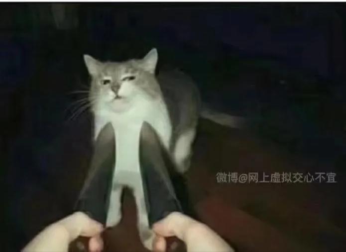 搞笑：黑客：遇到高手了，我刚刚进去就被T出来了