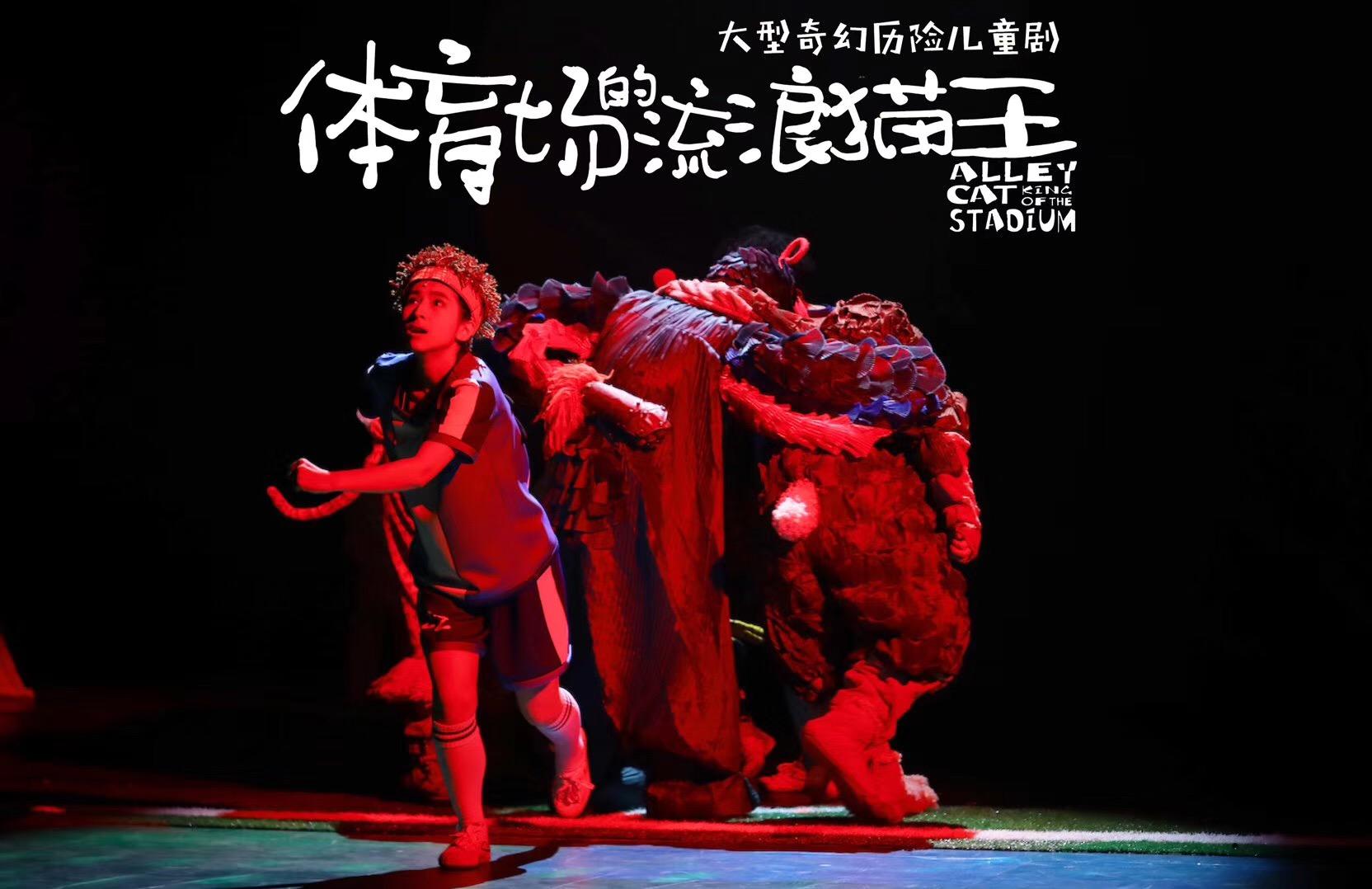 体育馆的流浪猫,体育场里的流浪猫王