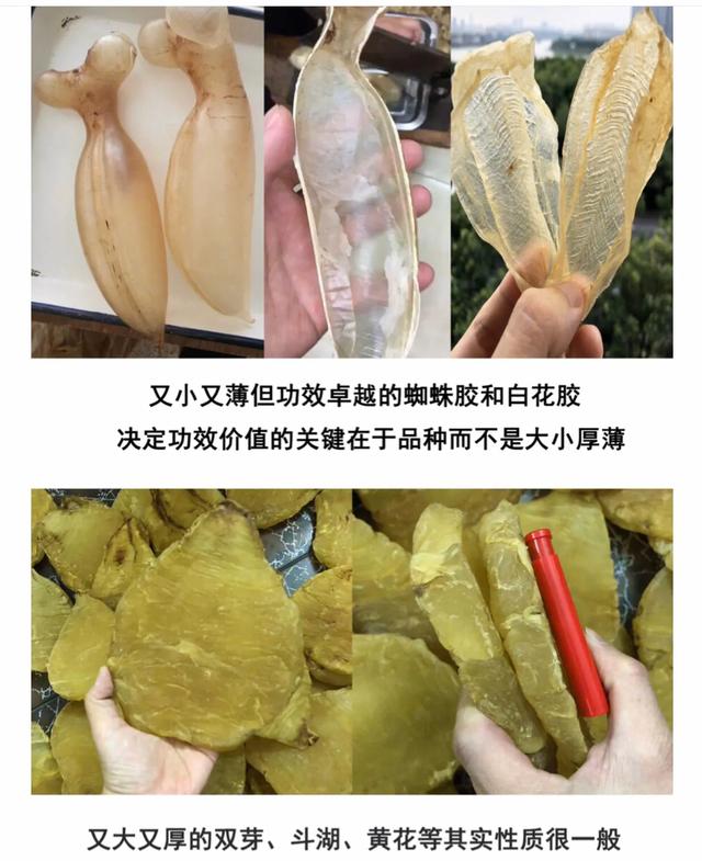 花胶燕窝正品鉴别方法图片,缅甸花胶真假鉴别方法