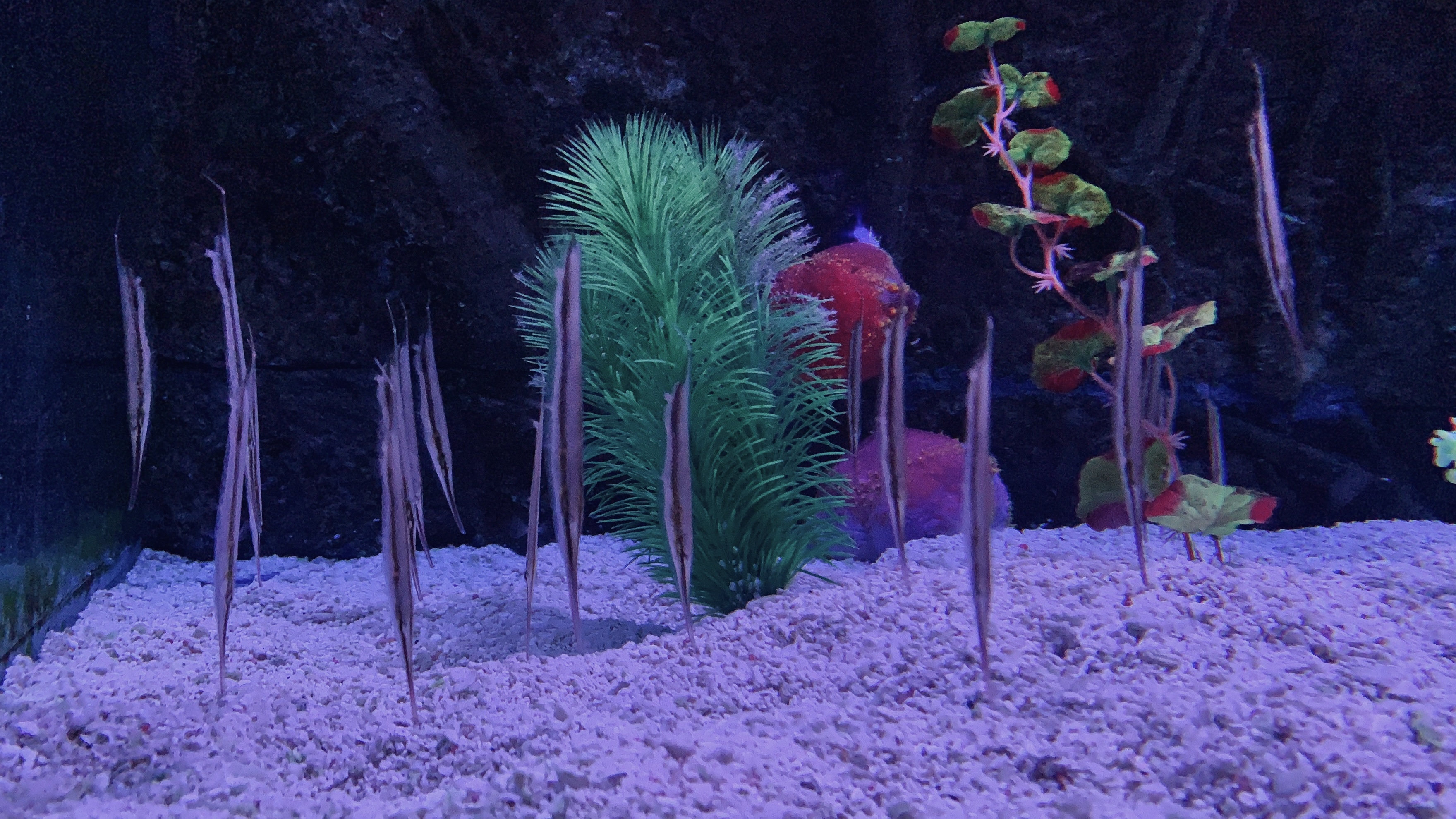 北京富国海底世界周围景点,工体富国海底世界游览攻略