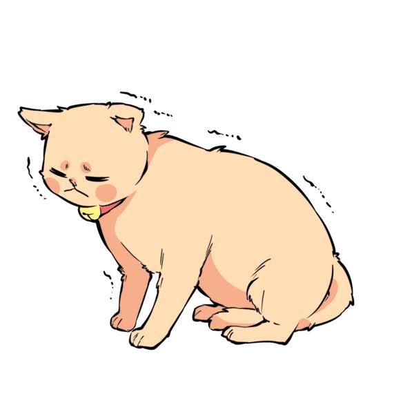 猫咪尾巴竖起来是什么意思,猫咪尾巴各种姿态含义