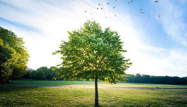 脑筋急转弯：*楼青**开张，打一报社常用语？这答案让人笑喷饭