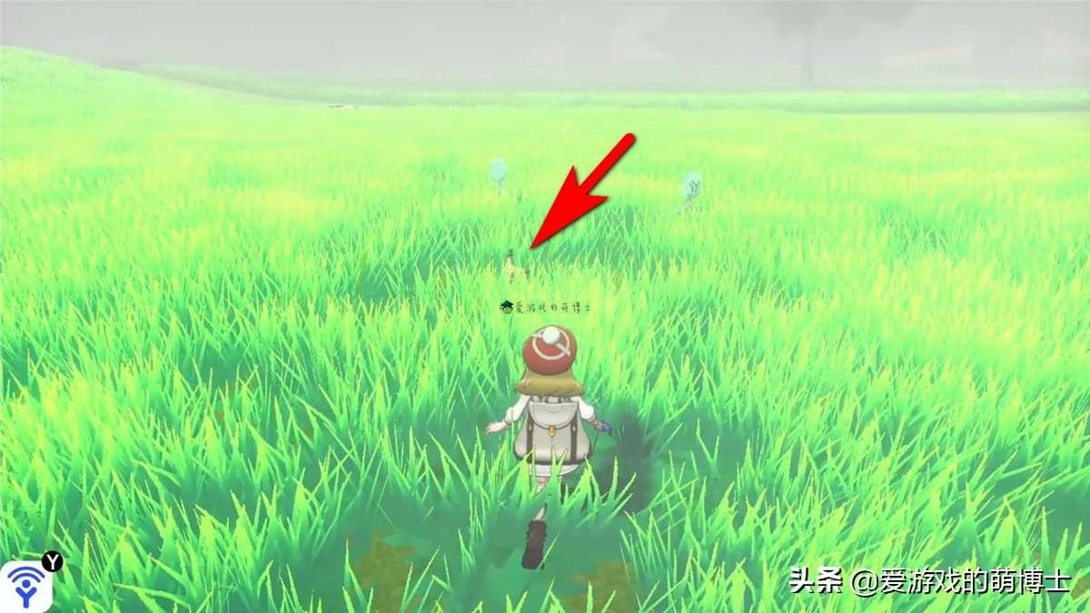 宝可梦剑盾新手精灵,宝可梦剑盾全部捕捉攻略