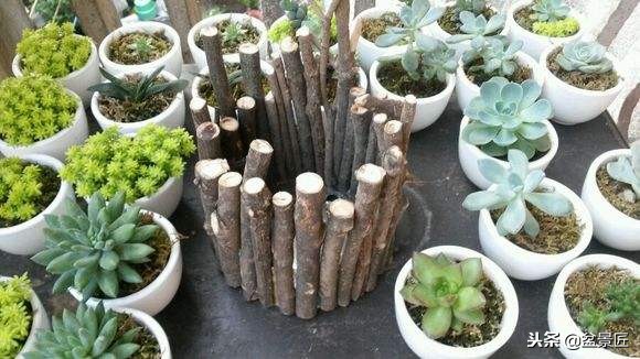 巧妙旧物改造塑料瓶变身手工花盆,旧物利用变废为宝制作花盆