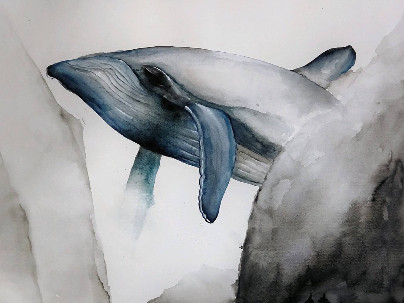 鲲鹏鹓鶵,鲲鹏与鹓鶵的传说