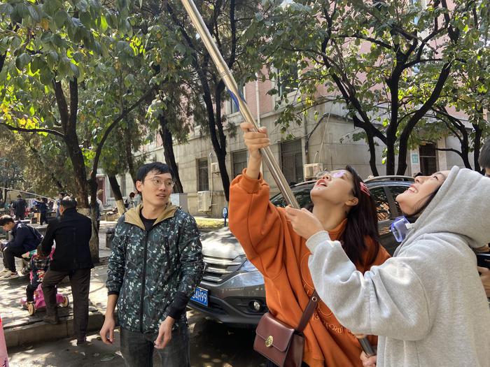 西安一高校举办摘柿子大赛,西工大举办摘柿子大赛