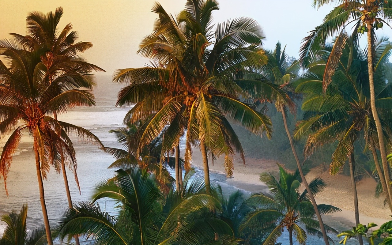 天蝎男和天秤女既是绝配又是死克,天蝎男和天秤女在一起的成功案例