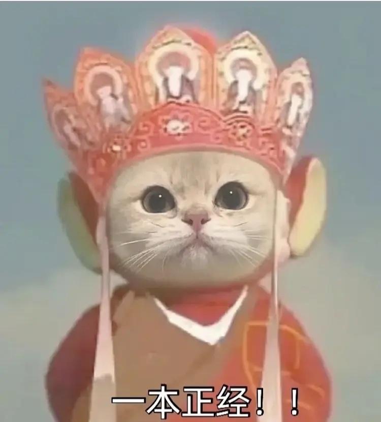 这所被称为“大三本”的985高校,曾扩招千人调剂,如今考不上