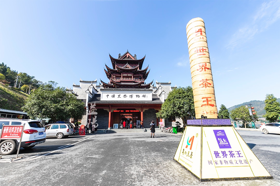 中国黑茶博物馆吉尼斯纪录,世界茶王黑茶