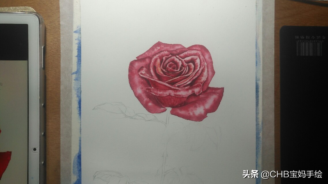 水彩画初学者零基础教程玫瑰花,水彩画教程入门玫瑰花慢教程