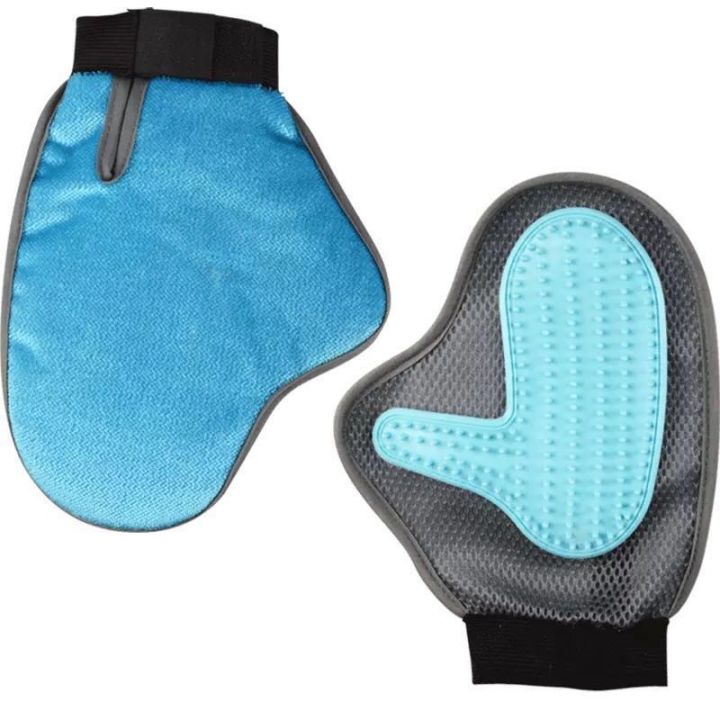 新手如何养博美犬,新手如何涂粉底