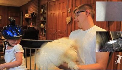 拿鸡当摄像机,拿鸡当摄像头