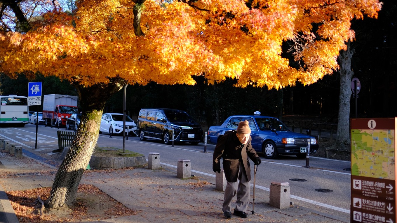 六月日本北海道风光,日本北海道几月去比较好