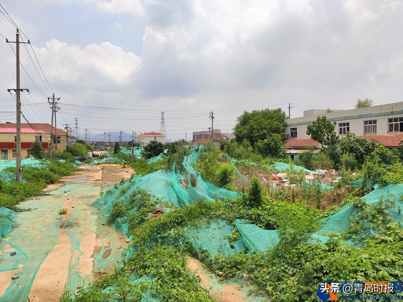青岛亚洲杯足球场周边规划,亚洲杯青岛青春足球场
