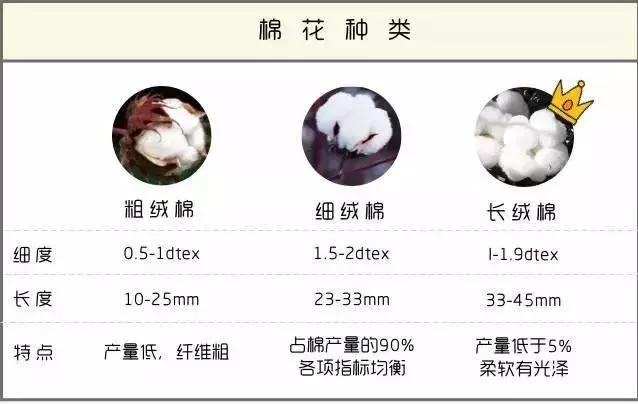 原来你也用Christy的毛巾，难怪我这么中意你