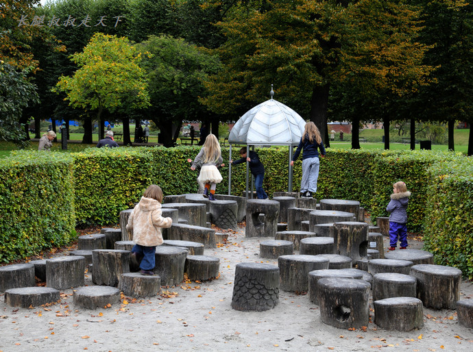 丹麦女王的黄金王冠,丹麦黄金王冠