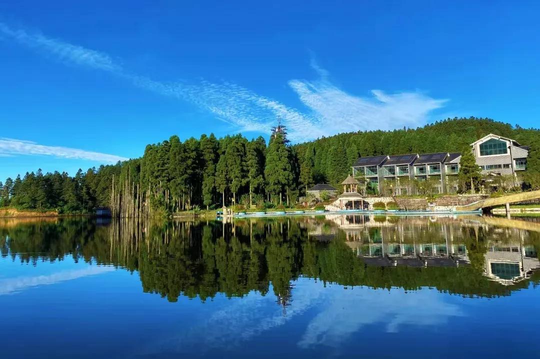 八年级语文上册古诗词默写,八年级上册语文文学常识总结归纳