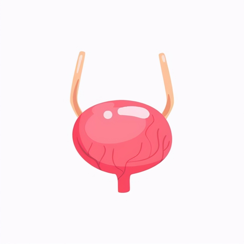 组织器官部分缺失是什么,我们缺失器官可以活多久