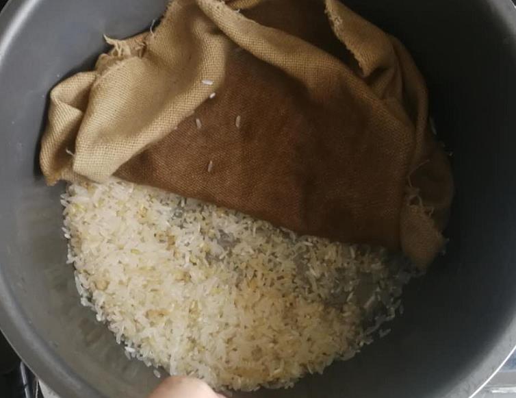 日本什么牌子的电饭煲煮饭最好吃,国产电饭锅与日本电饭煲差距大吗