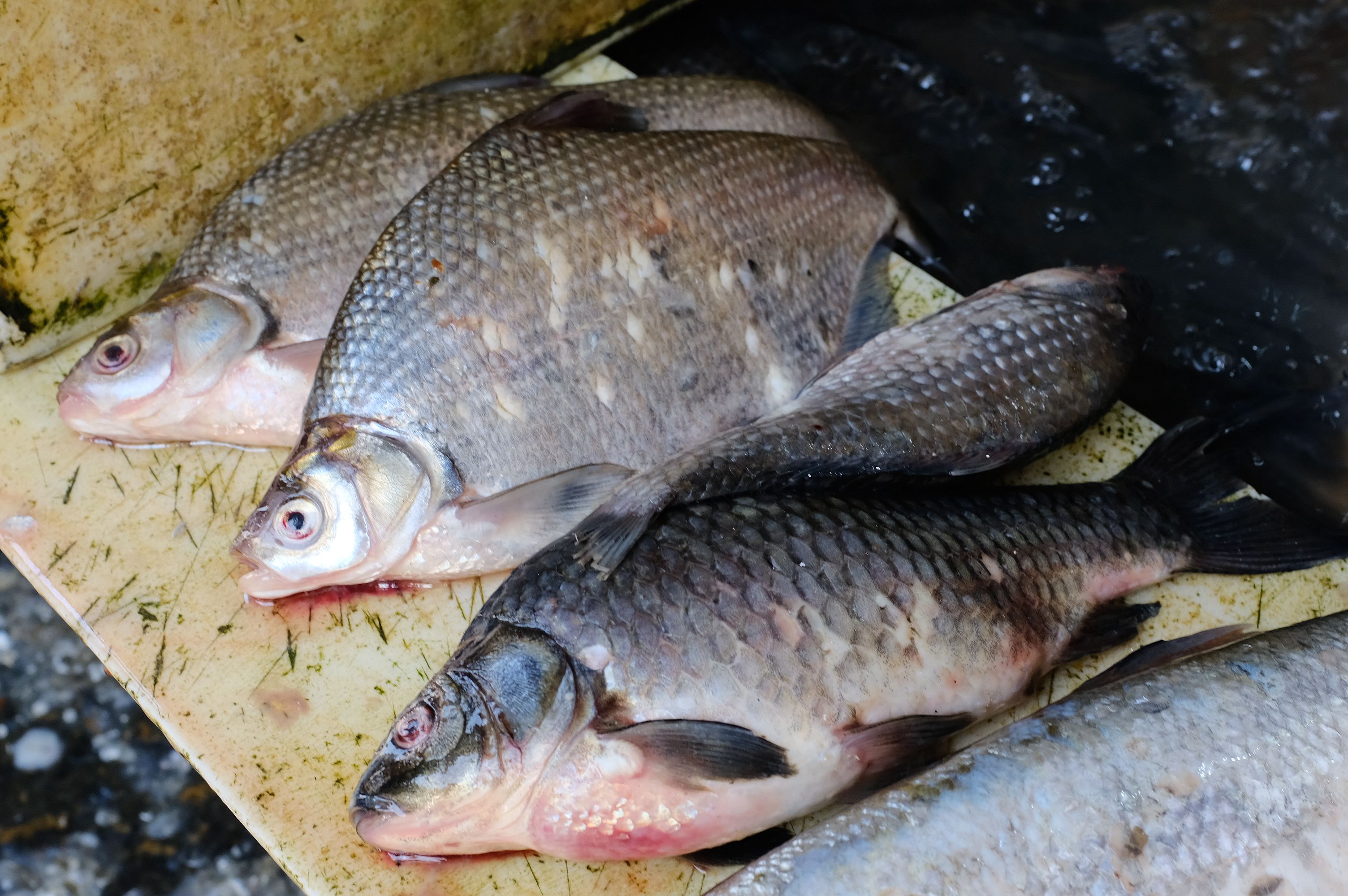 这么嗲的菜场你快点来逛呀