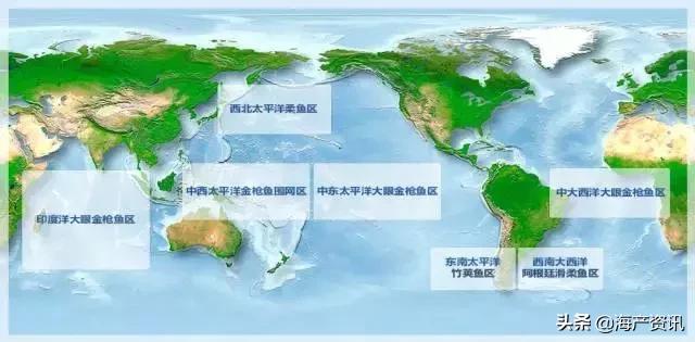 硬核科普全部,硬核科普大全视频