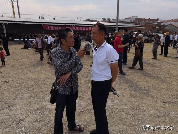 辽宁最大畜牧交易市场,群晟畜牧交易市场