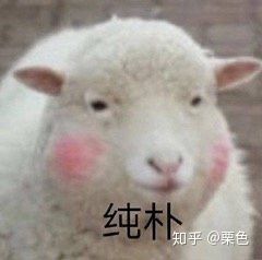 淘宝购物下单省钱步骤,淘宝购物省钱大方法视频