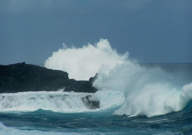 赞扬女足队员的话语,向女足运动员教练员致敬