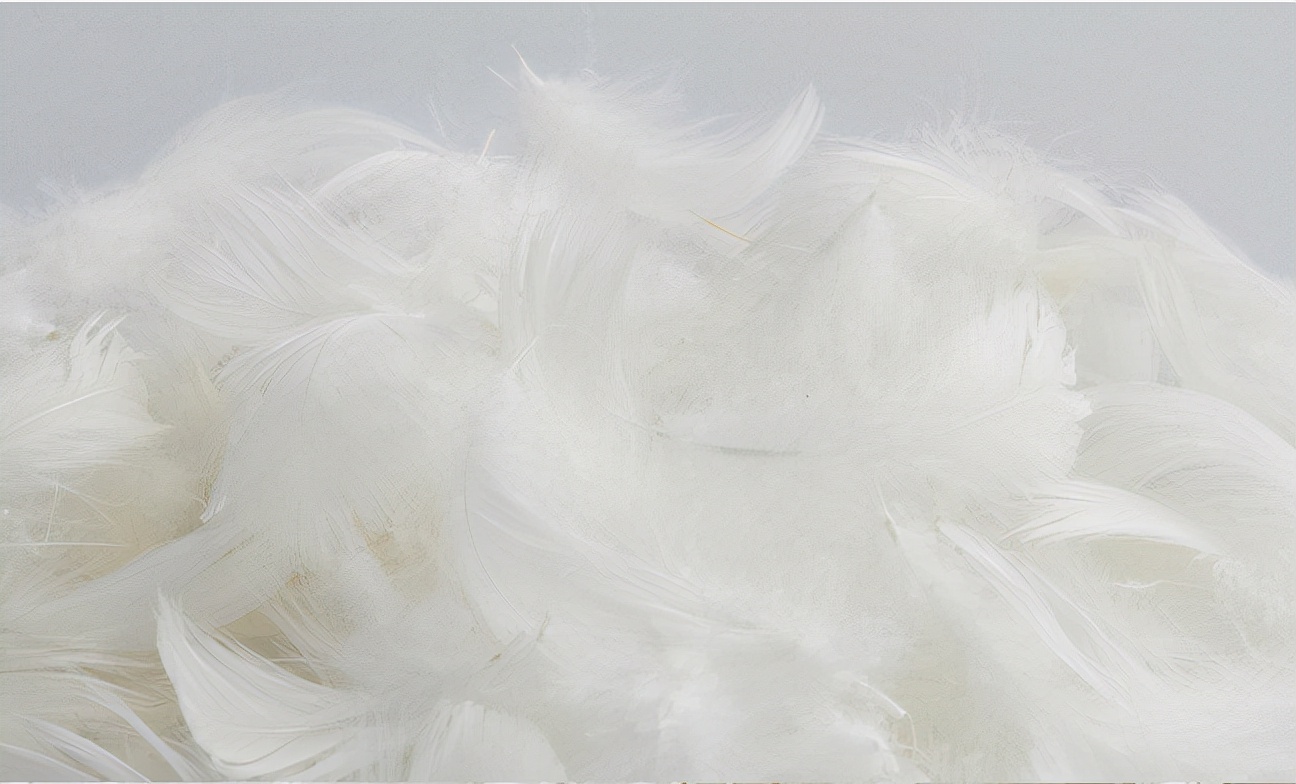 最好看的科技布沙发款式,科技布沙发最新款讲解