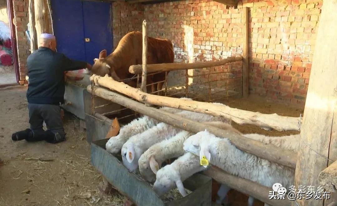 韬畫蹇楀潥涓嶅繕鏈府鎵朵埂浜插悓鑷村瘜,韬畫蹇楀潥涓嶄綆澶磋劚璐嚧瀵屽媷浜夊厛