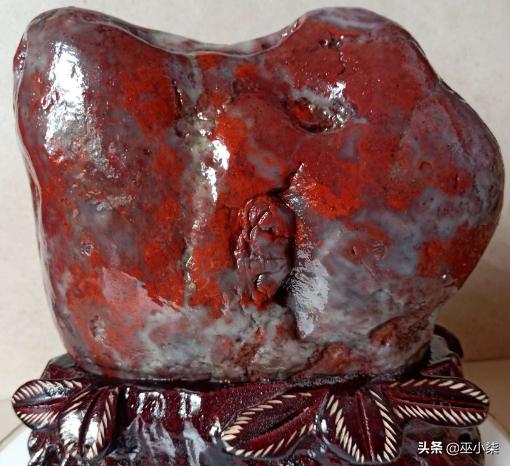 小伙捡到2万元后续,捡的凤眼菩提