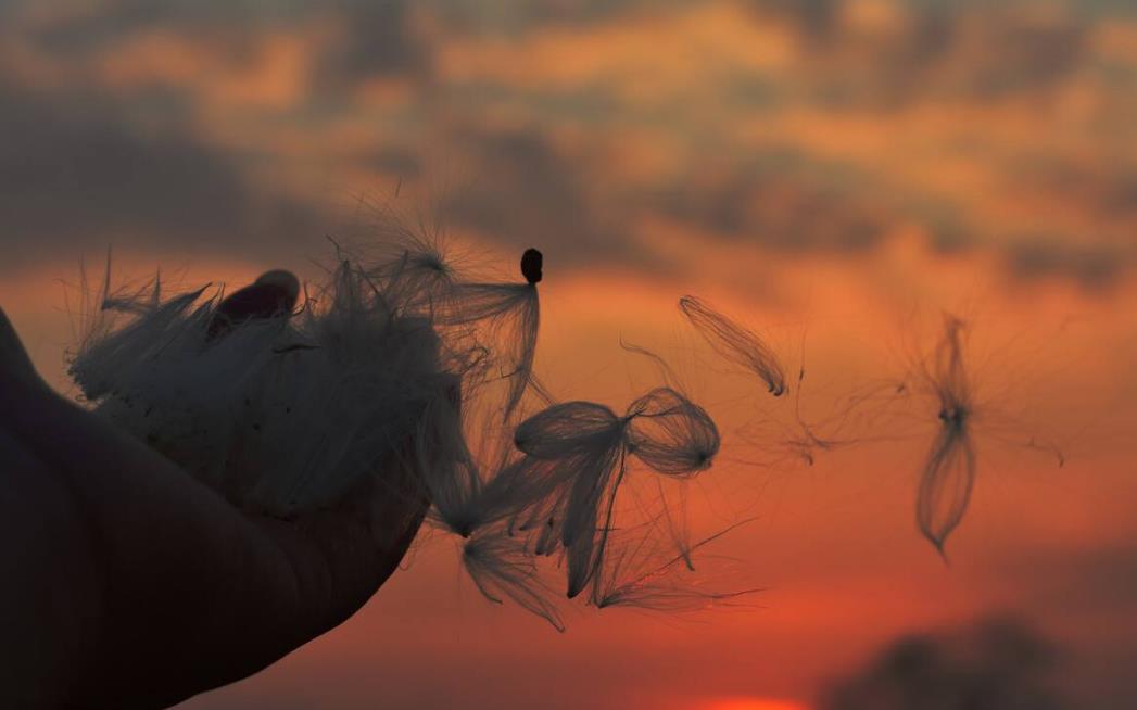 人为什么会做梦的缘由,人为什么会做梦梦代表什么