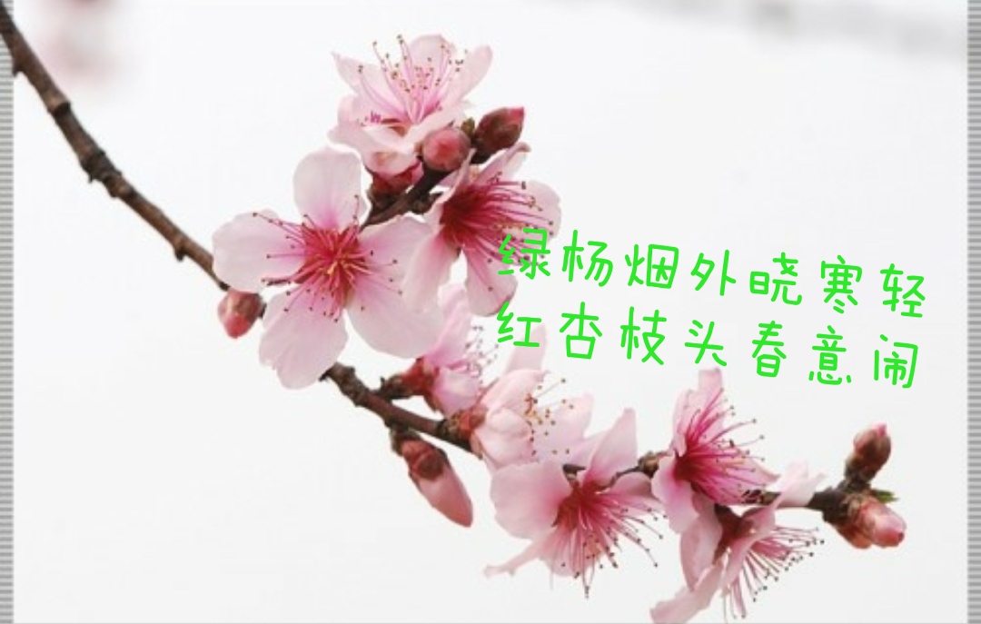 涓浗鍗佸ぇ绾㈣壊缁忓吀璇楄瘝,鍗佸ぇ绾㈣壊缁忓吀璇楄瘝