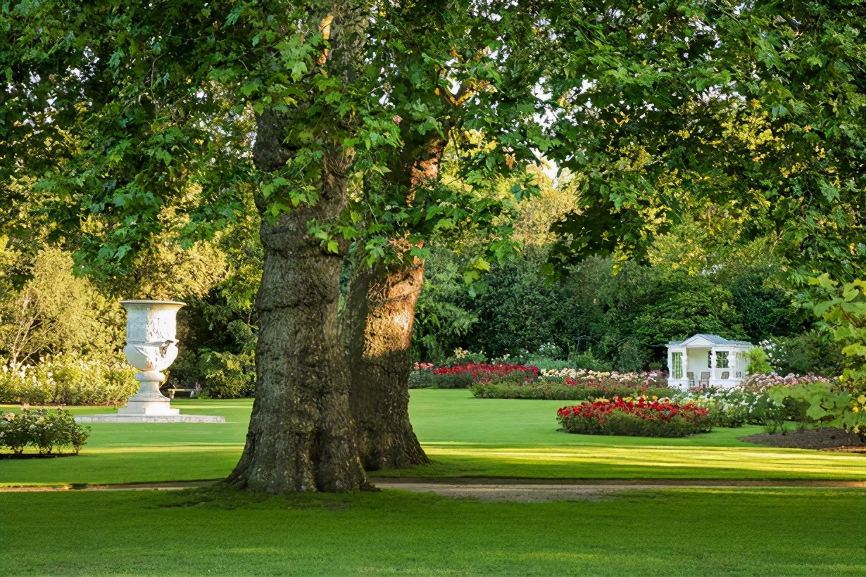 2021新冠疫情回顾,新冠疫情2021年结束吗