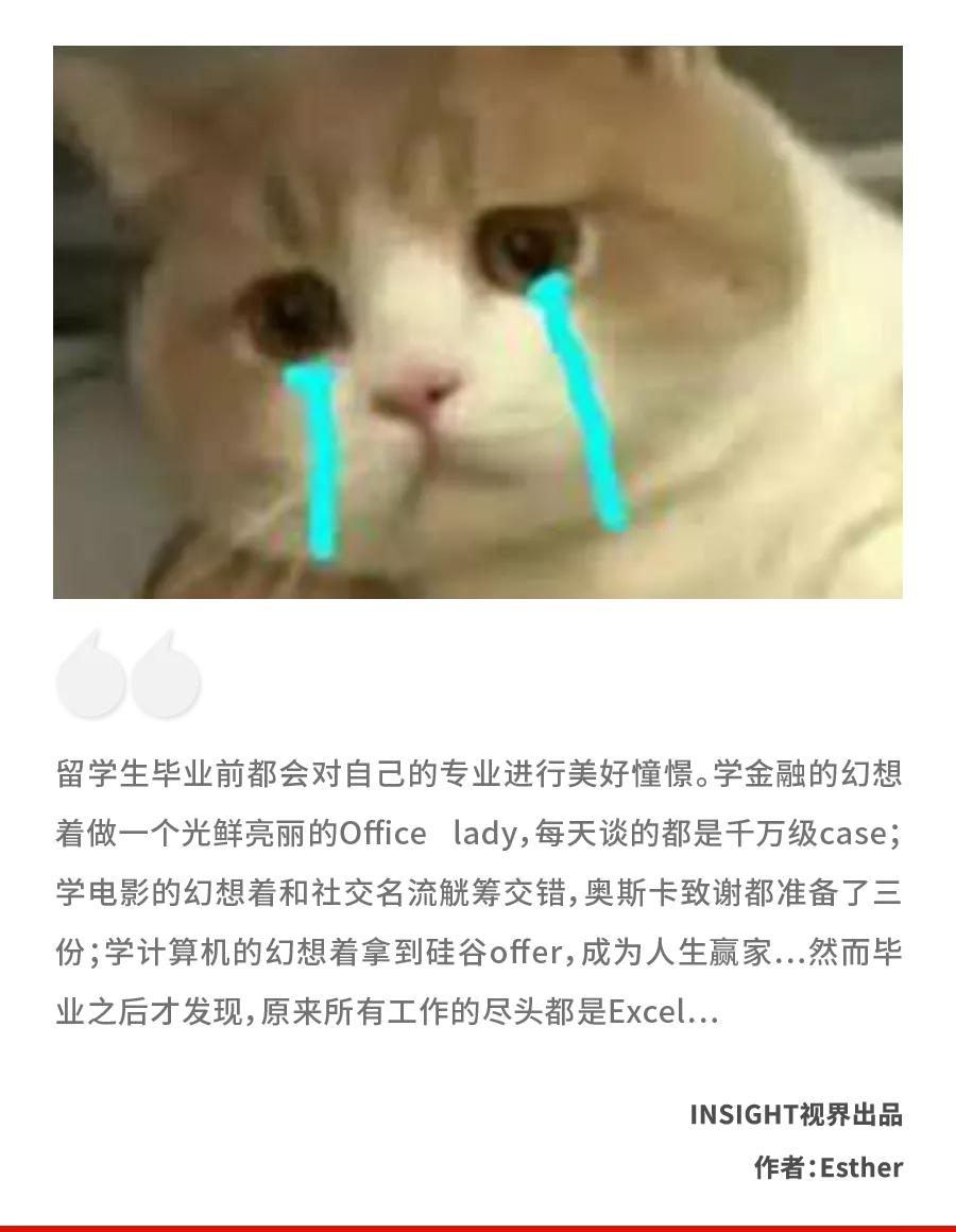 “我堂堂宾大毕业高材生,回国后竟然天天做Excel表”