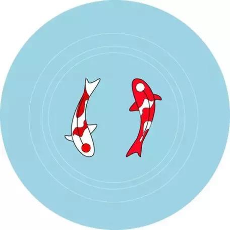 好紧张马上要和喜欢的人表白了,对已婚女人表白她很紧张