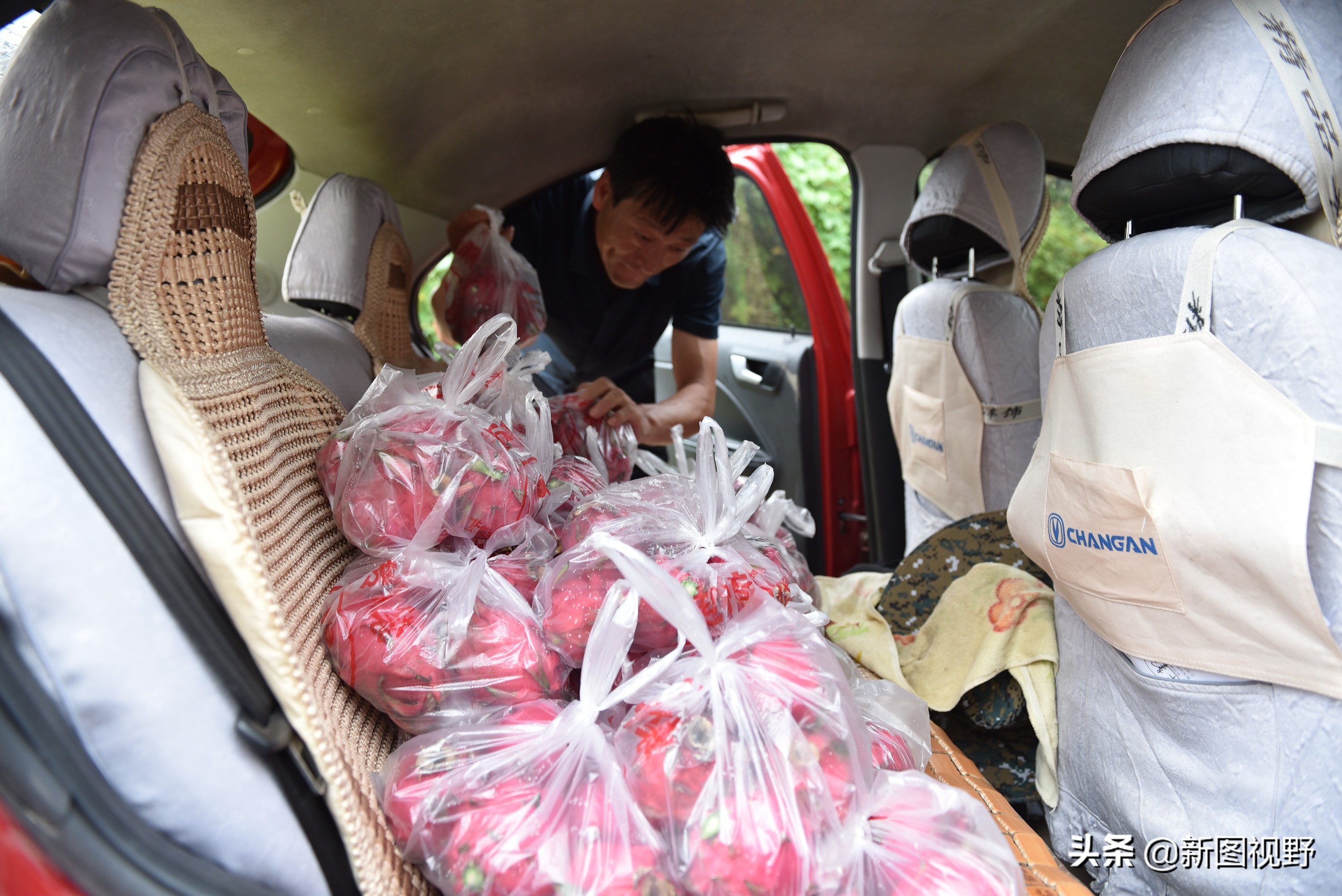 农村大哥种菜一年12万,农村大哥吃西瓜