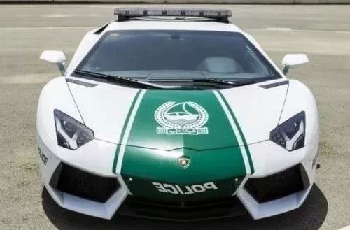 为什么迪拜人有钱,迪拜有多有钱视频