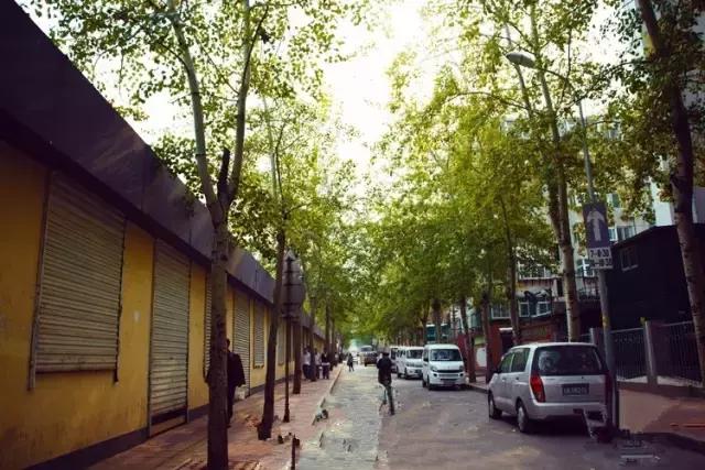 山师附中,山师附中历下区