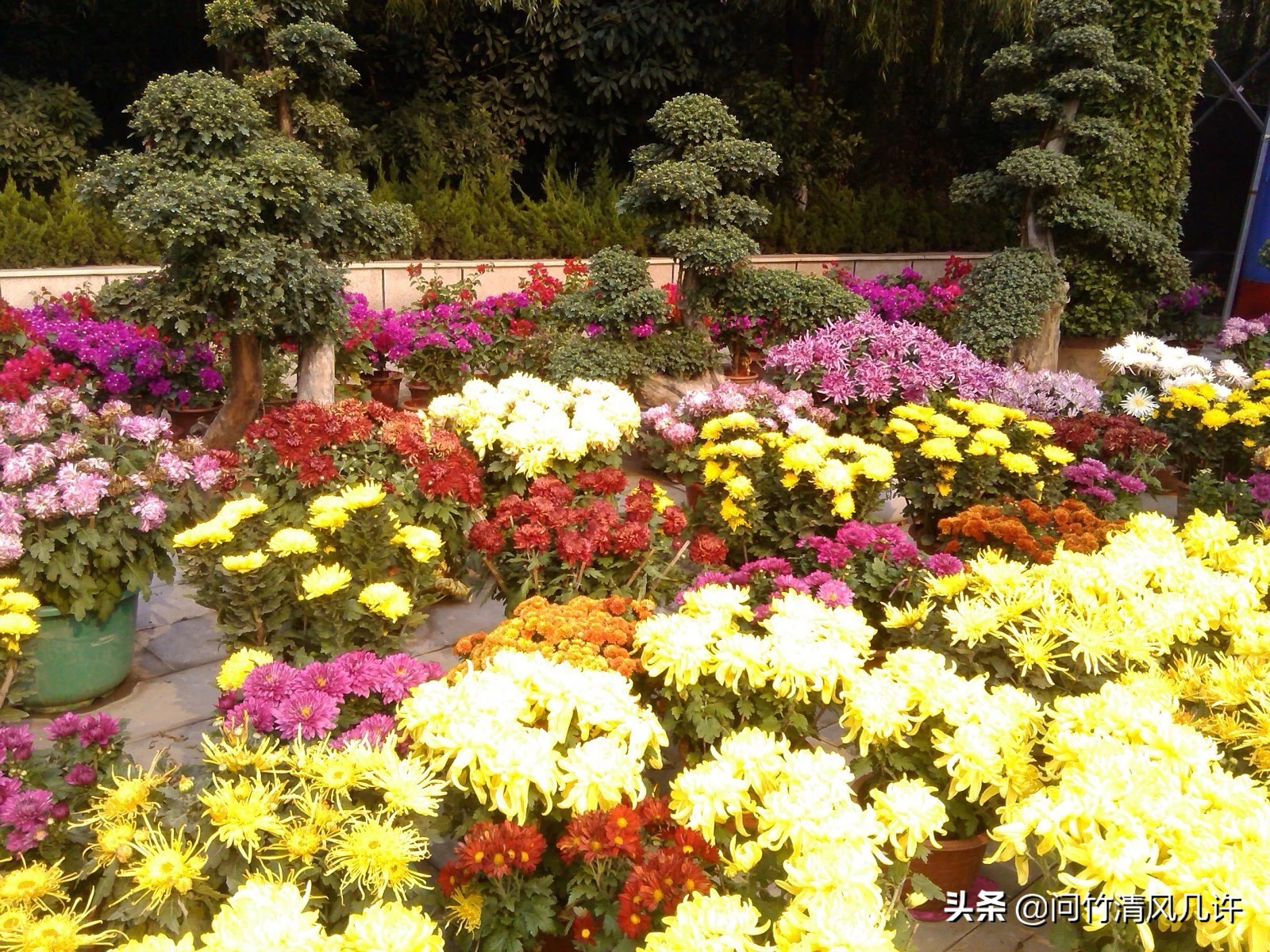 滕州历史文化古城,滕州古城在什么地方