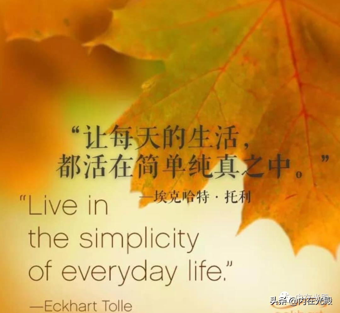 亚健康的句子经典语录,调理亚健康专业知识话术