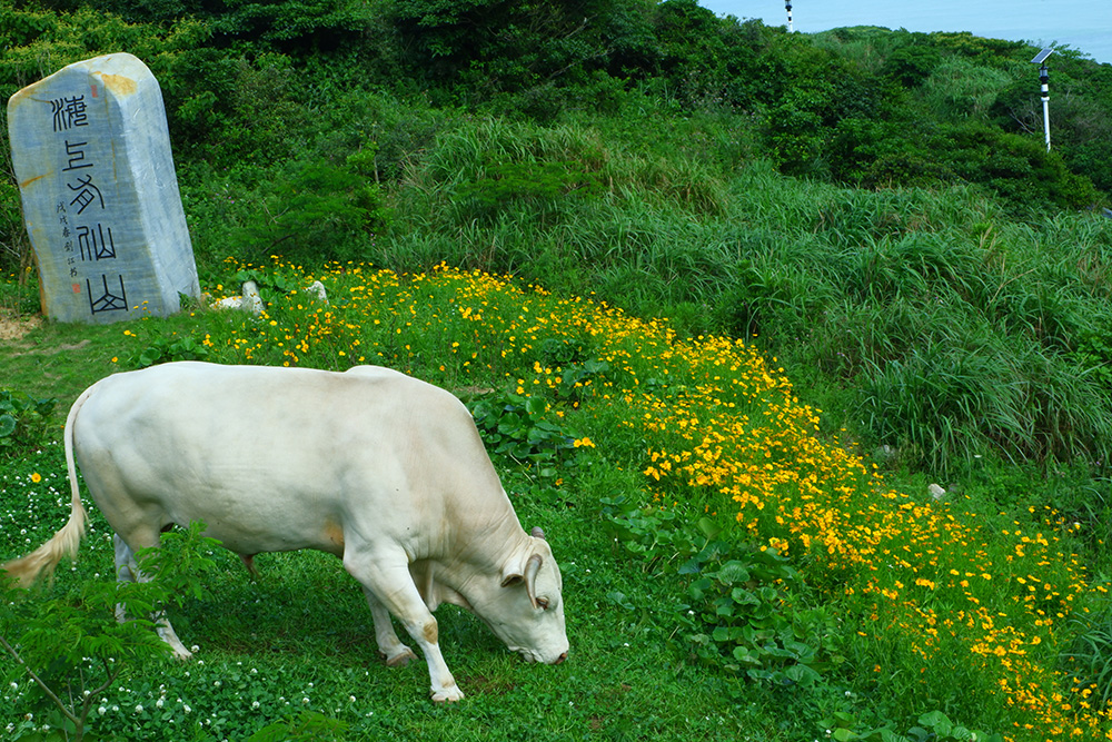 圣托里尼最美荧光海 (圣托里尼荧光海)