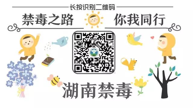 当你的朋友吸毒时你应该怎么做,当发现身边有人吸毒时怎么做