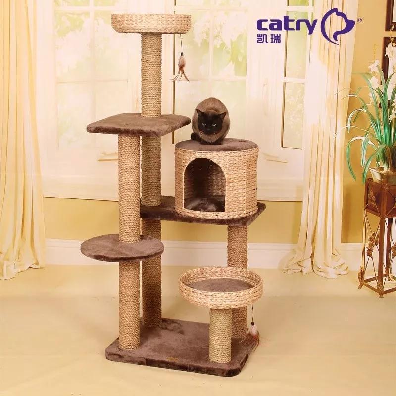 怎样写一份完美的养猫手册,新手养猫手册怎么写