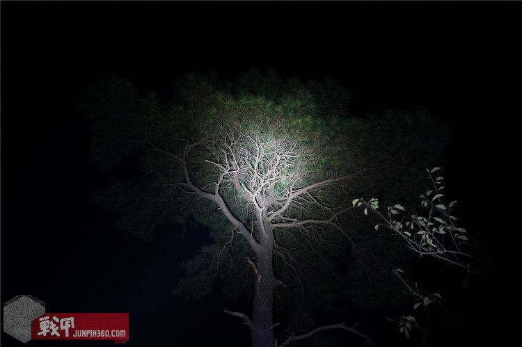 fenix手电筒pd40,fenixpd系列手电筒选购指南